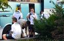 2011-09-24-oe-gornik.z-cracovia_u_4222