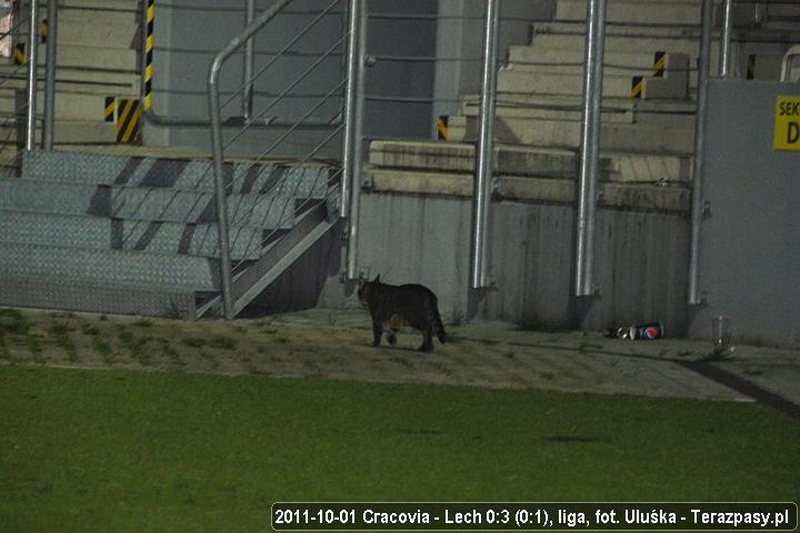 2011-10-01-oe-cracovia-lech_u_5455