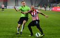 2013-04-06_Cracovia-Dolcan_4825_720