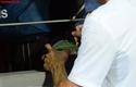 2013-06-06_Polska-Malta_U21_9068_720