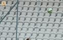 2014-04-29_Cracovia_2005-Cracovia 2014_4362_720